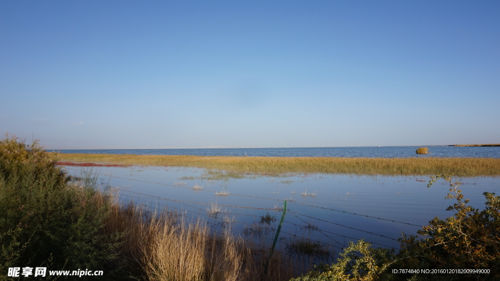 青海盐湖