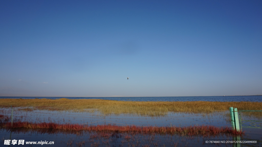 青海盐湖