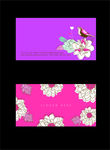花朵名片