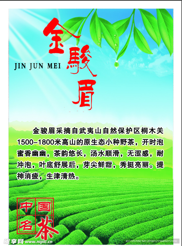金骏眉茶