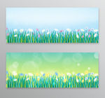 花丛banner
