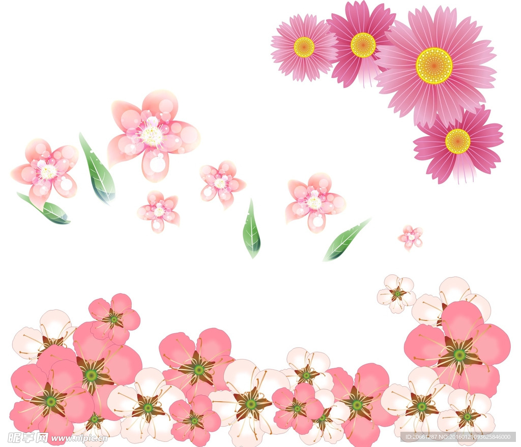 矢量 花朵 春天