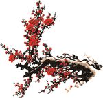 矢量梅花 腊梅