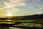 乡间田野