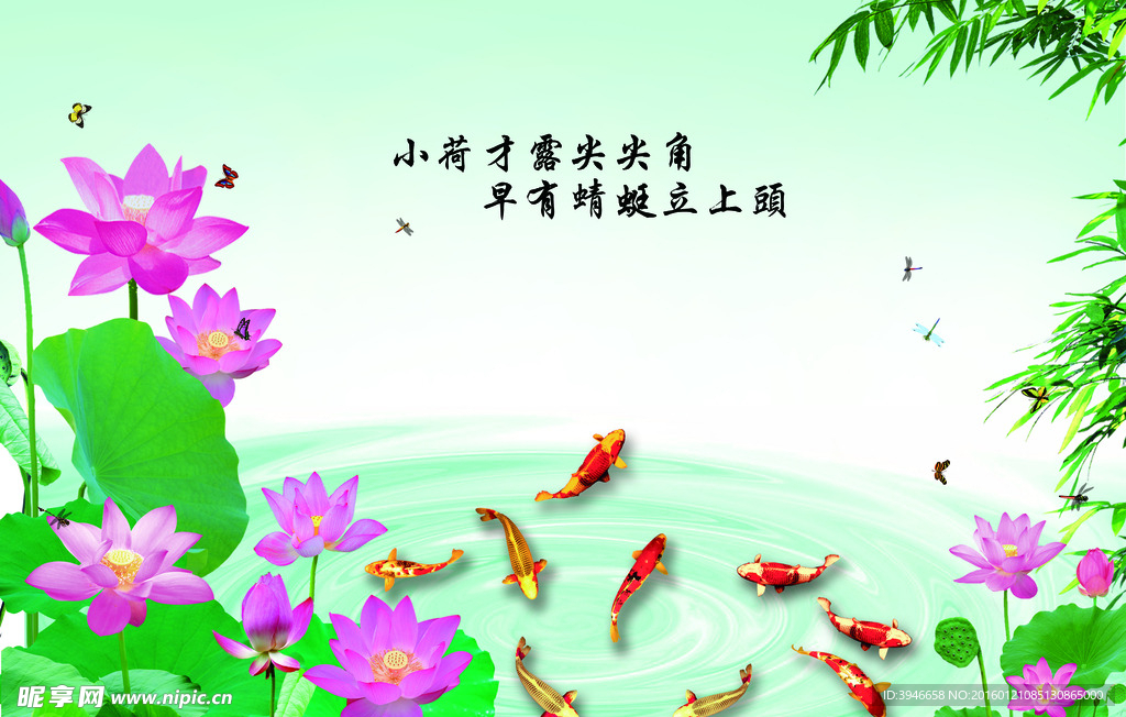 荷花九鱼图