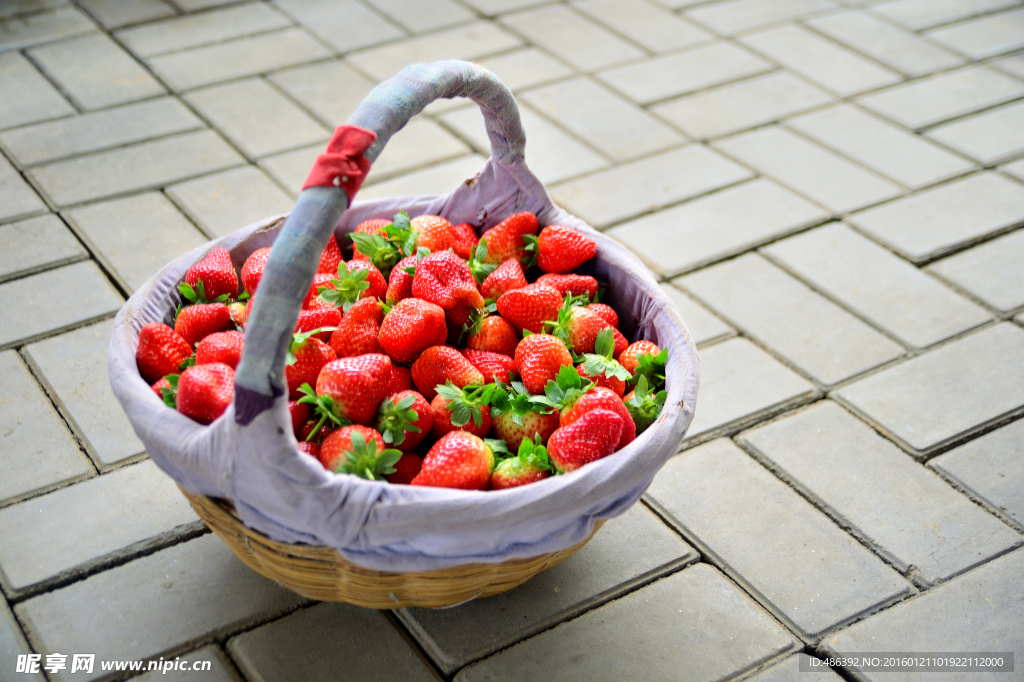 草莓篮子
