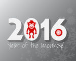 猴年2016