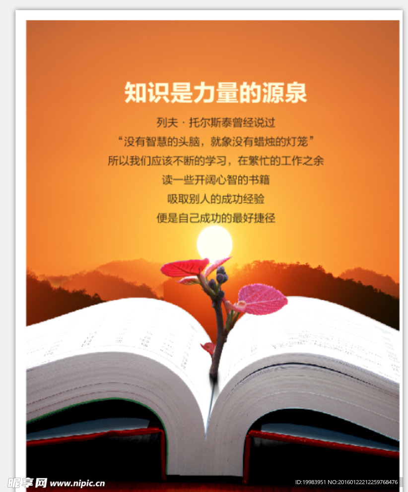 艺术 感觉 公司 制度  传播