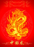 龙