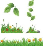 矢量花草 树叶