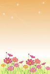 花朵展板 春天