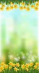 春天花朵展架 清新
