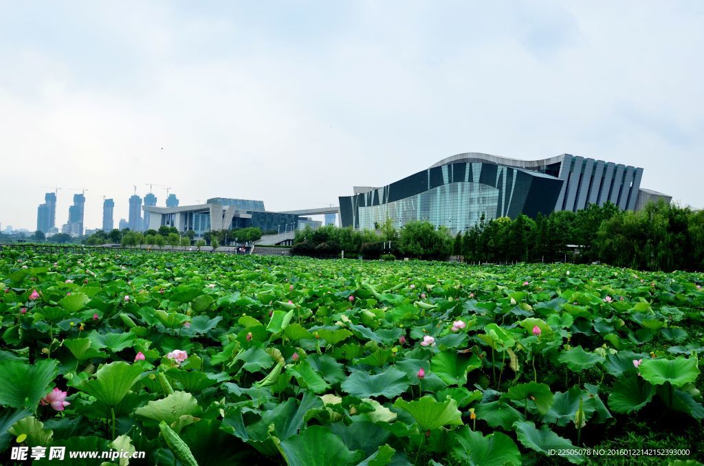琴台大剧院