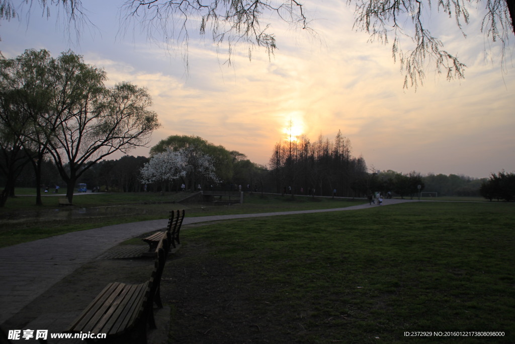 夕阳下的公园