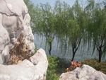 太湖风景