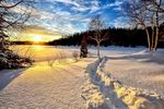 冬天野外雪景图片
