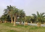 上海闵行体育公园风景
