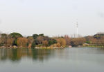 上海闵行体育公园风景
