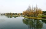 上海闵行体育公园风景