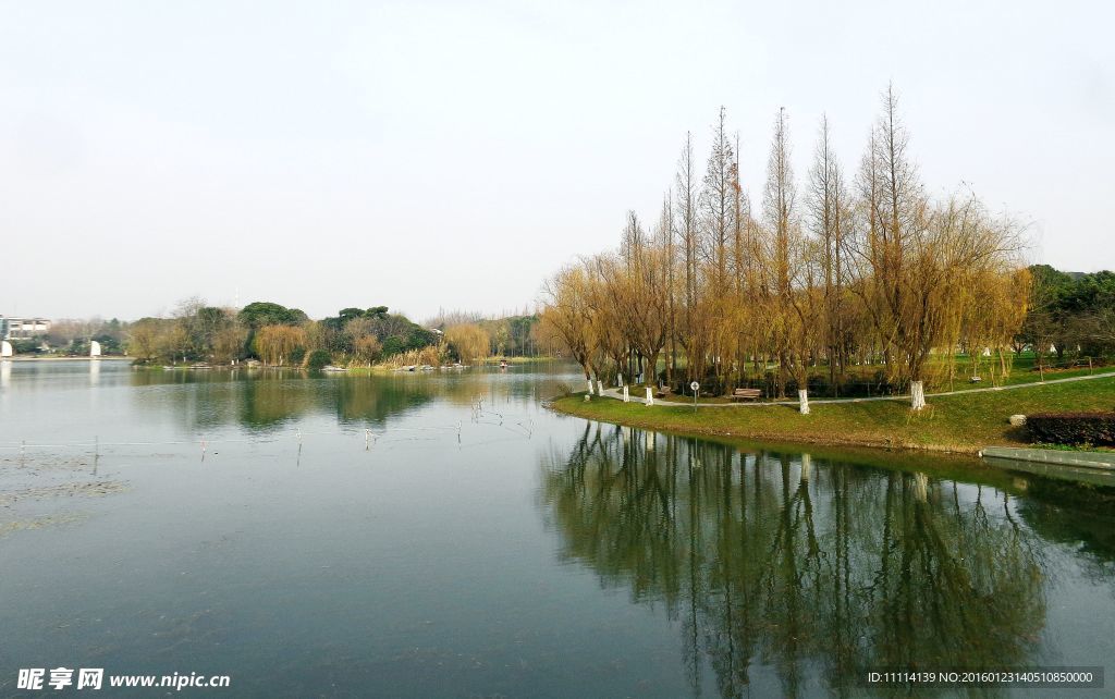 上海闵行体育公园风景