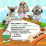 宠物优惠海报PSD