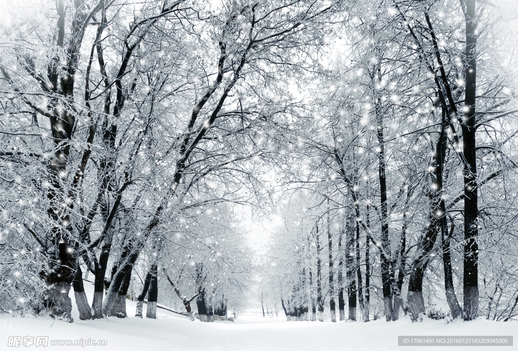 奥林匹克公园雪景