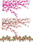 矢量梅花 花朵素材