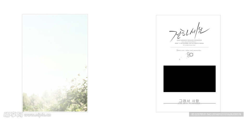 韩式模板