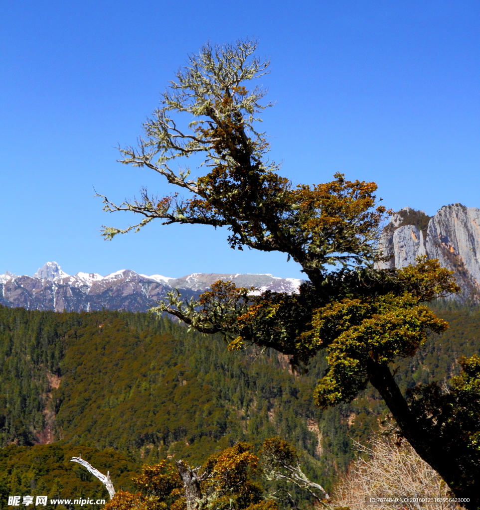 四川乡城雪山