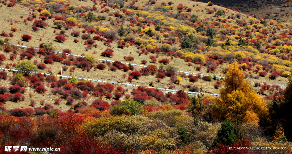 四川小金梦笔山