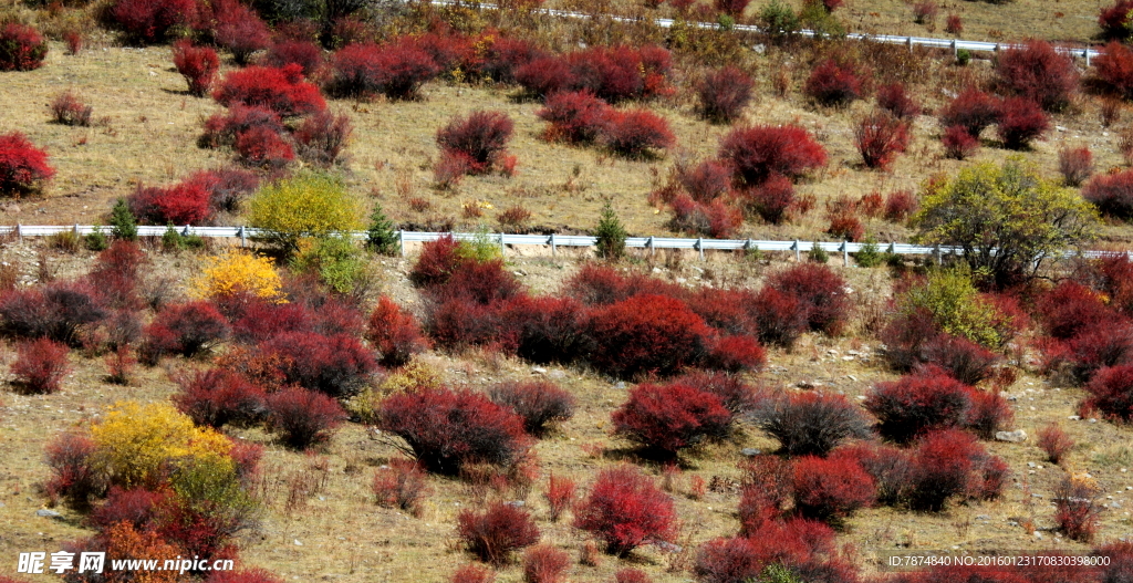 四川小金梦笔山