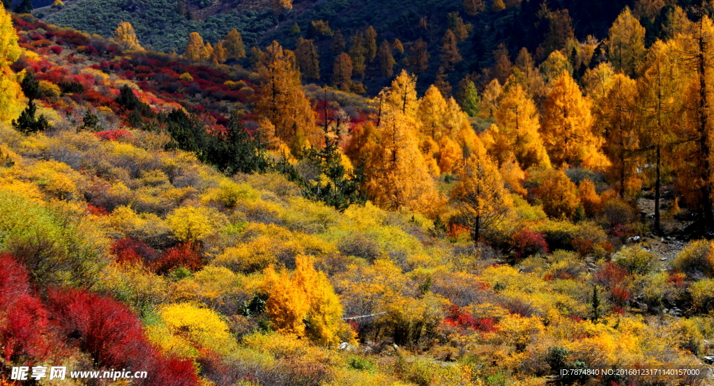 四川小金梦笔山