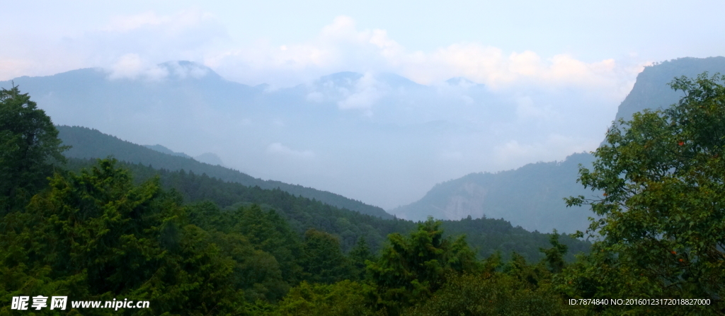阿里山