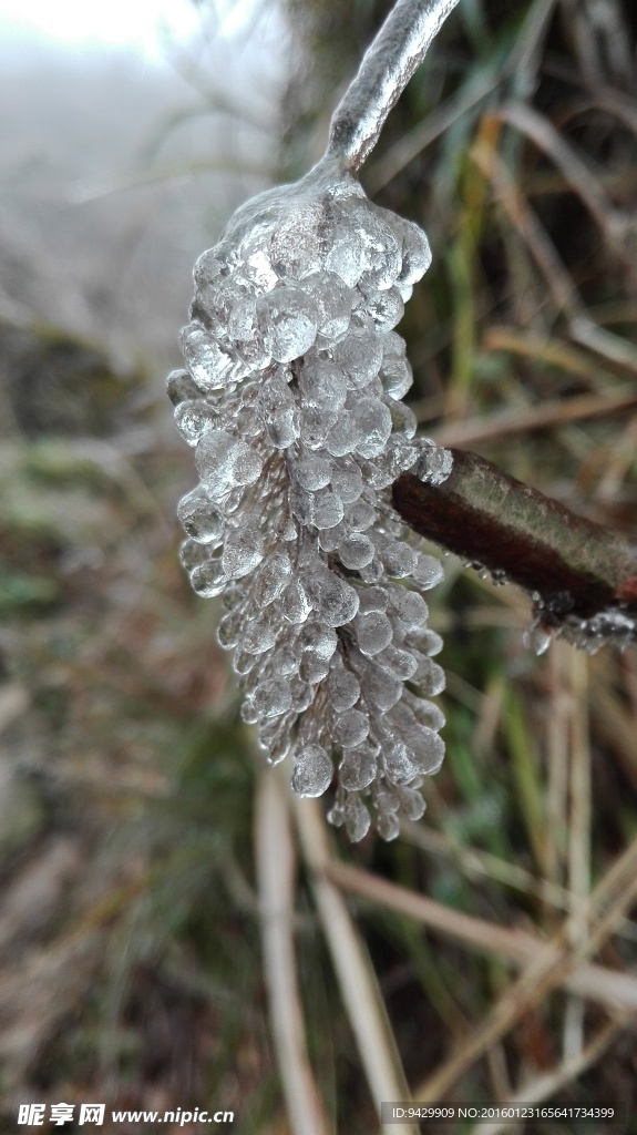 雪景图