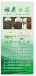 白茶广告