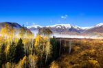 树林风景摄影图片
