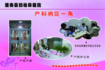 灌南县妇幼保健院展板