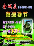 春节美发