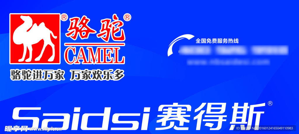 赛得斯