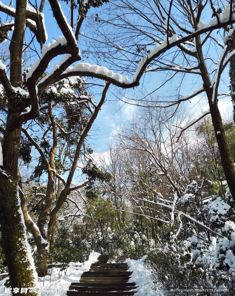 冬天雪景