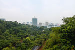 新加坡风景