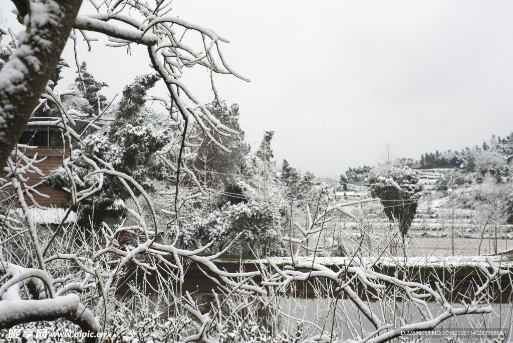 农村雪景