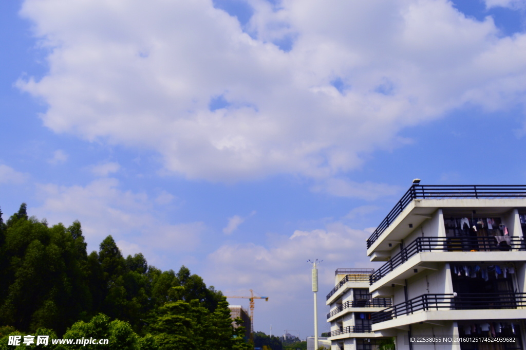 学校