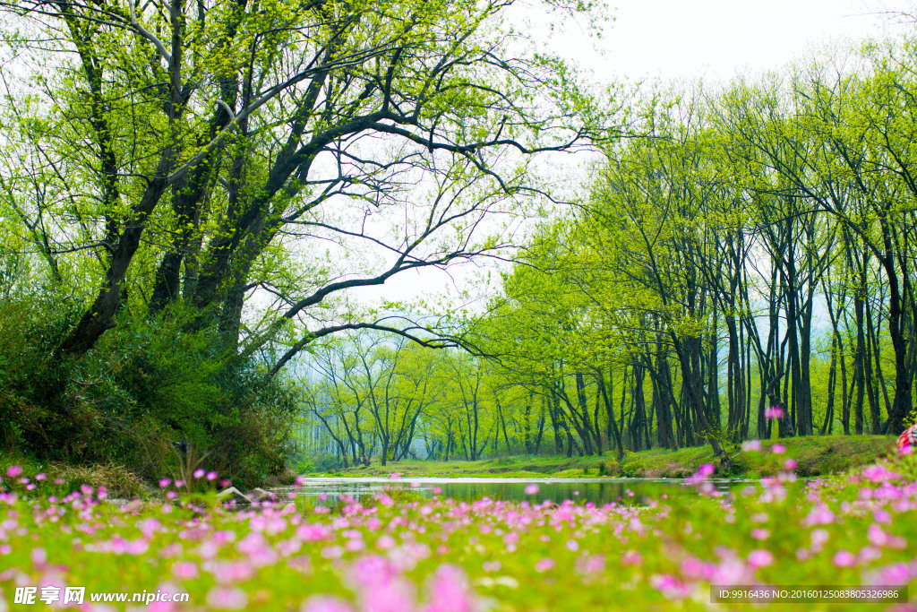 小河美景