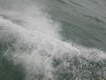 浪花