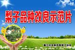 蓝天白云