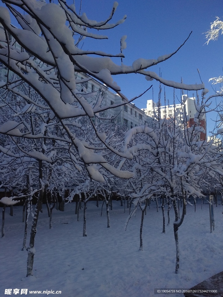 雪景