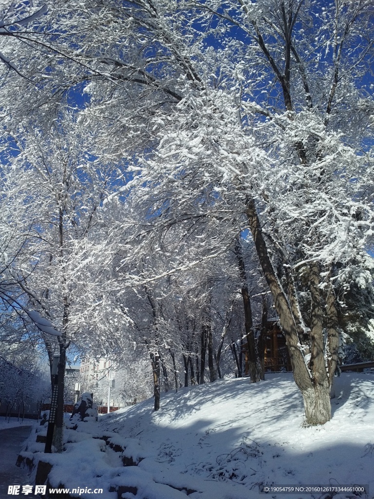 雪景