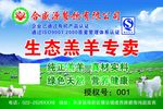 生态羔羊专卖