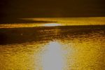 夕阳西下